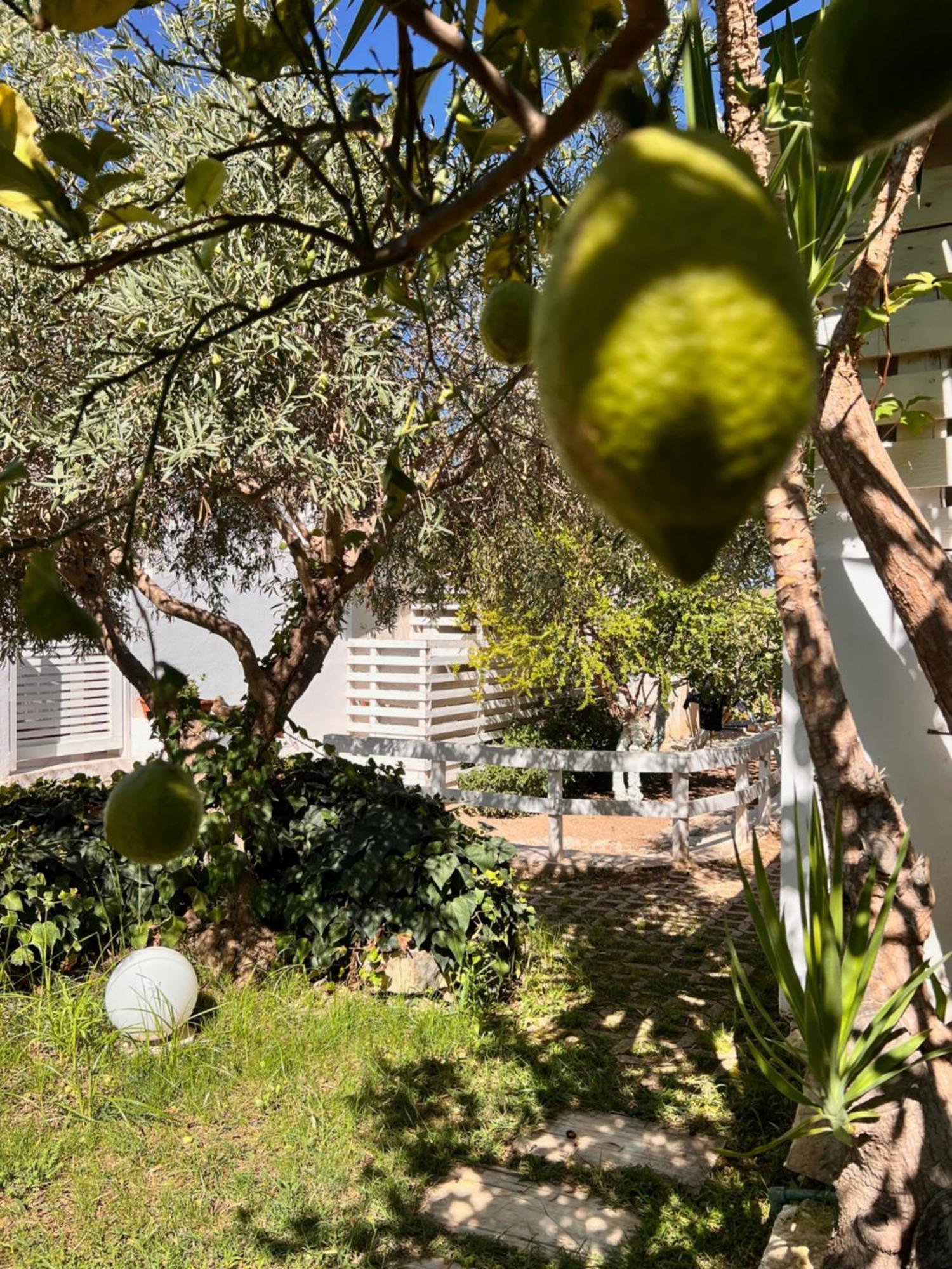 Villa Aurea Ispica Exterior foto